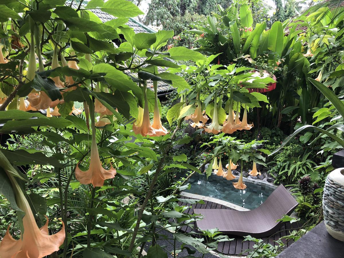 White Lotus Oasis Hotel Ubud  Ngoại thất bức ảnh